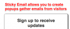 Sticky Email Opt-in Widget screenshot 2