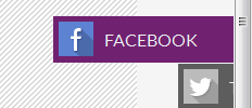Sticky Social Icon screenshot 2