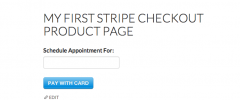 Simple Stripe Checkout Companion screenshot 5