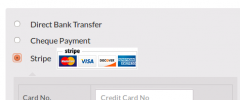 Stripe Payment Gateway WooCommerce Addon screenshot 3