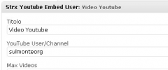 Strx Youtube Embed Widget screenshot 1