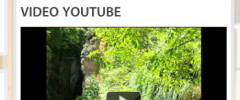Strx Youtube Embed Widget screenshot 3