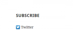 Subscribe / Connect / Follow Widget screenshot 2