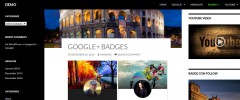 SZ - Google for WordPress screenshot 3