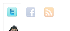 TentBlogger Social Widget - Twitter, Facebook, and RSS screenshot 2