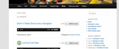 The Stiz - Audio for WooCommerce screenshot 1