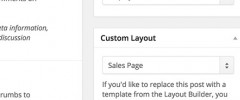 Theme Blvd Layouts to Posts screenshot 1