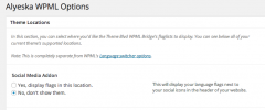Theme Blvd WPML Bridge screenshot 2