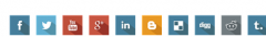 ThemeNcode Social Follow Buttons screenshot 1