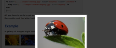 ThickBox screenshot 2