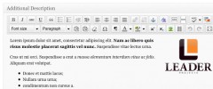 Add TinyMCE to the Additional Description field screenshot 1
