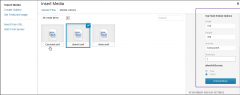 Top Flash Embed screenshot 1