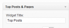 Top Posts & Pages Widget screenshot 1