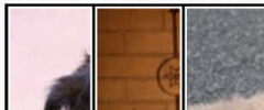 topCollage screenshot 4