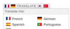 Translate This Button screenshot 1