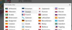 Translate This Button screenshot 2