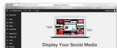 TwineSocial: Show all your social media posts in a easy, beautiful page screenshot 6