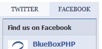 Twitter & Facebook Tabbed content widget screenshot 2