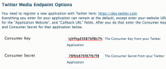 Twitter Media Endpoint screenshot 1