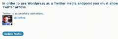 Twitter Media Endpoint screenshot 2