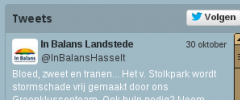 Twitter Widget with Styling screenshot 3