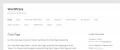 Ultimate Posts Widget screenshot 1