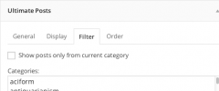 Ultimate Posts Widget screenshot 4
