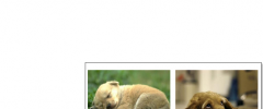 Wordpress UpCloo Plugin screenshot 1