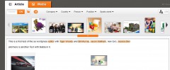 veeeb|s veeebeditor For Wordpress screenshot 2