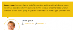 Viavi WP Testimonials screenshot 4