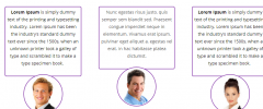 Viavi WP Testimonials screenshot 5