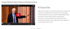 WP Canvas - Responsive Videos screenshot 1
