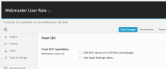 Webmaster User Role screenshot 4