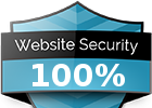 WebPageAnalyse Security Widget screenshot 2