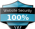 WebPageAnalyse Security Widget screenshot 3