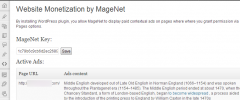 Website Monetization by MageNet screenshot 1