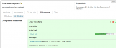 WP Project Manager screenshot 10