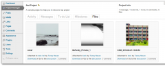 WP Project Manager screenshot 2