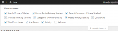 Widgets on dashboard screenshot 2
