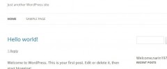 Welcome User Widget screenshot 1