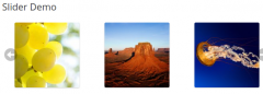 WEN Logo Slider screenshot 2