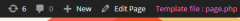 which template file screenshot 1