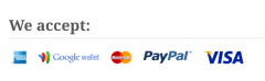 WooCommerce Accepted Payment Methods screenshot 2