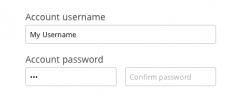 WooCommerce Checkout Password Strength Meter screenshot 1
