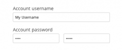WooCommerce Checkout Password Strength Meter screenshot 3