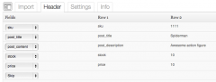 Woocommerce CSV importer screenshot 2