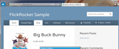 WooCommerce Digital Content Delivery (incl. DRM) - FlickRocket screenshot 3