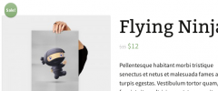 WooCommerce Live Stock Quantity screenshot 2