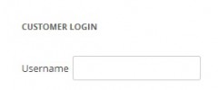 WooCommerce My Account Widget screenshot 2