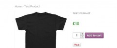 WooCommerce Pinterest Button Extension screenshot 1